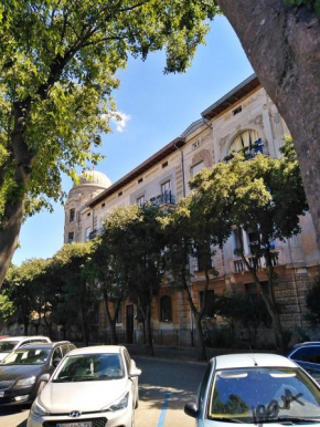 Mini Munz - Art Studio Apartment City Center